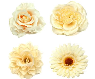 Kategorie Ansteckblumen und Haarblumen in beige und creme